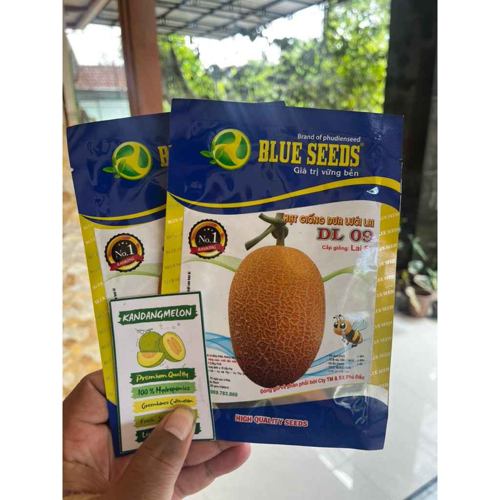 BENIH MELON PREMIUM DL09