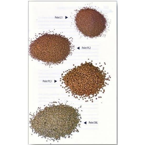 PELET IKAN LP 3 PAKAN IKAN LELE , GURAME, NILA, PATIN DLL