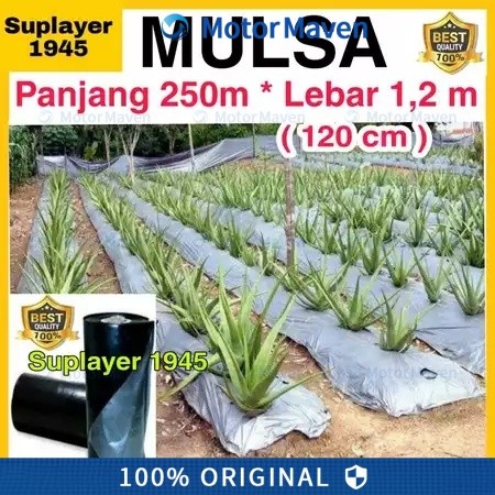 Plastik MULSA 1 ROLL hitam/perak ( Panjang 250 meter x Lebar 1,2 meter ) ROLL
