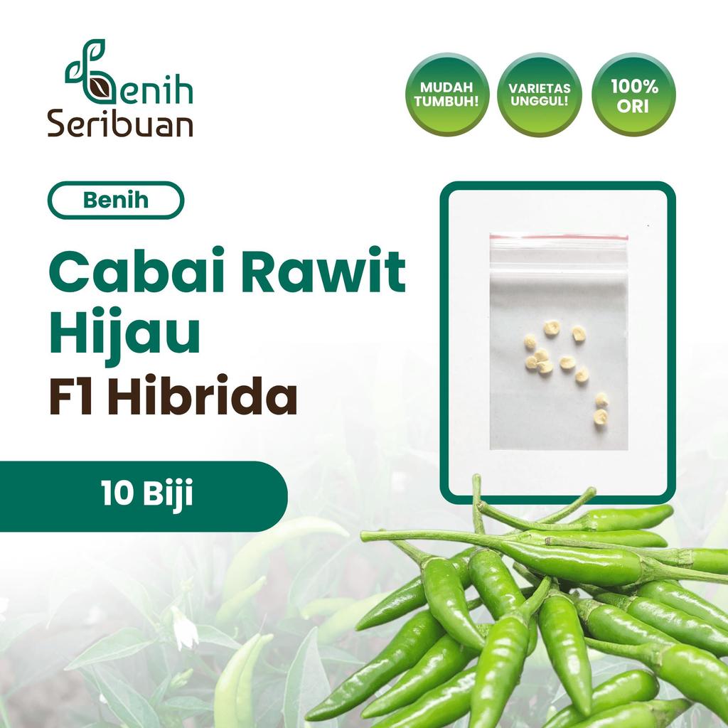 Benih Seribuan Store - 10 Benih Cabe Rawit Hijau F1 Hibrida