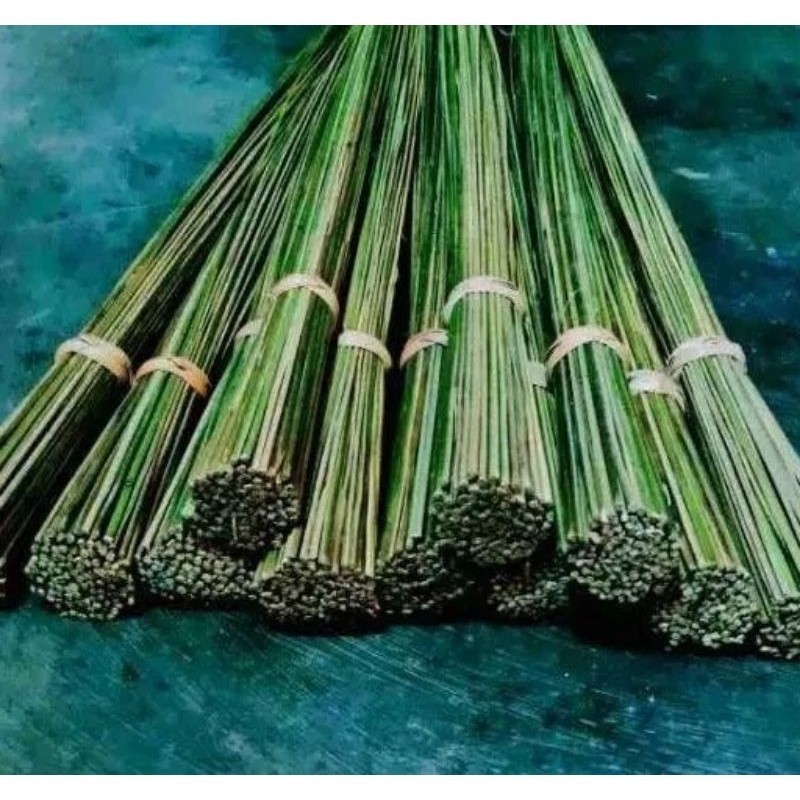COD - Sapu Lidi / Sapu Lidi Aren / Sapu Aren asli ready
