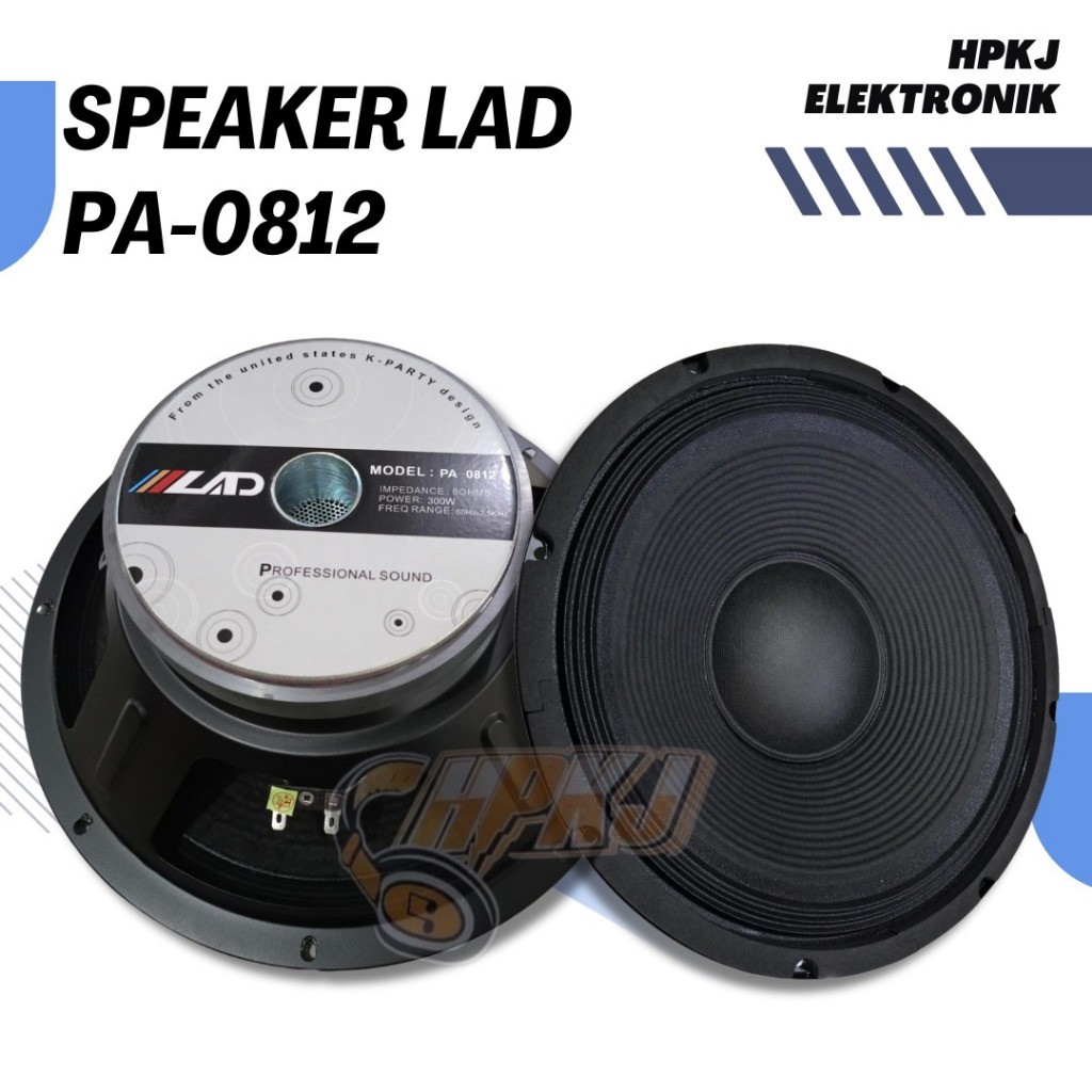 SPEAKER LAD 12 INCH 0812 Spiker Lad 0812 12inch 0812