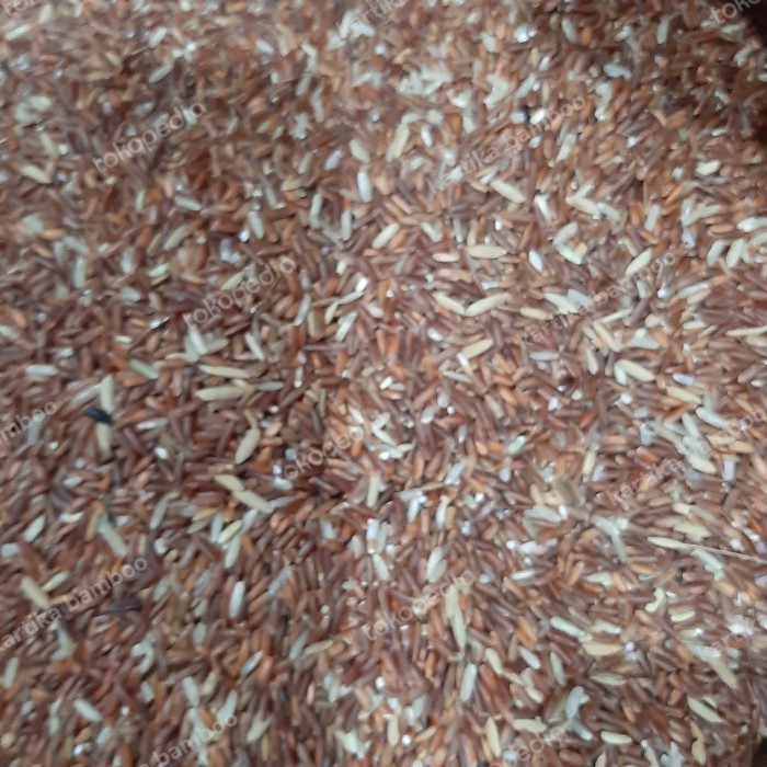 Beras Merah untuk pakan ayam burung 1Kg