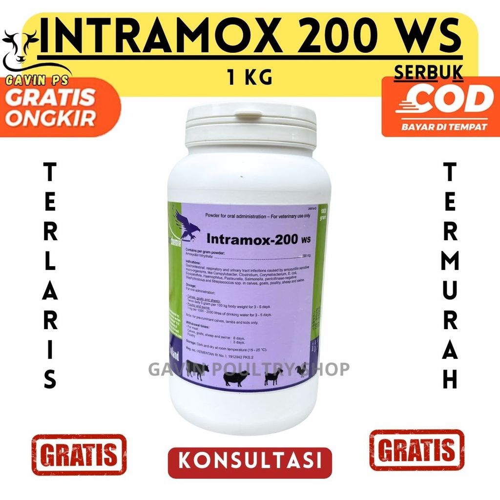 INTRAMOX 200 WS 1 KG - TMC - Mengobati Infeksi Saluran Pencernaan dan Pernafasan Hewan Ternak GPS
