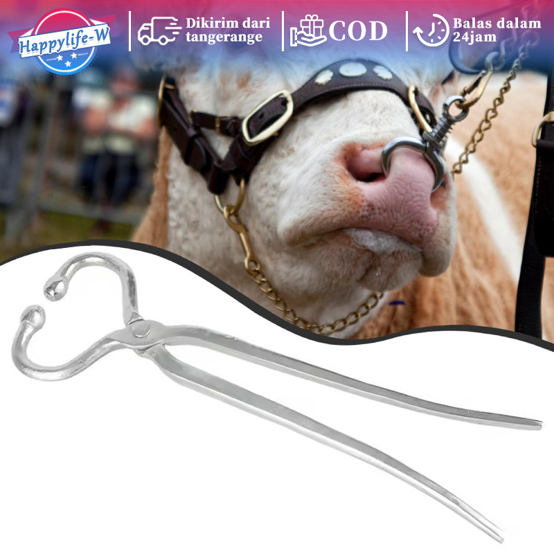 35cm Penjepit Hidung Sapi Alat Tindik Pelubang Hidung Sapi Tang Hidung Sapi Cattle Nose Plier