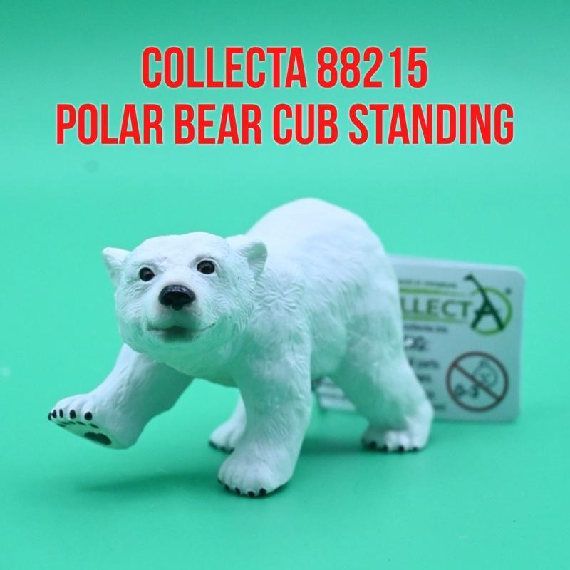 CollectA 88215 Polar Bear Cub Standing Anak Beruang Kutub Es Ursus Maritimus | Mainan Figure Binatan