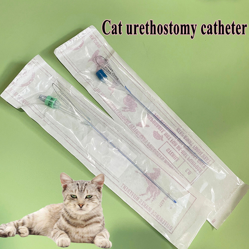 Professional Feline Cat Pet Urethral Transformation Urethrostomy Catheter With Stylet Ballon Silicon