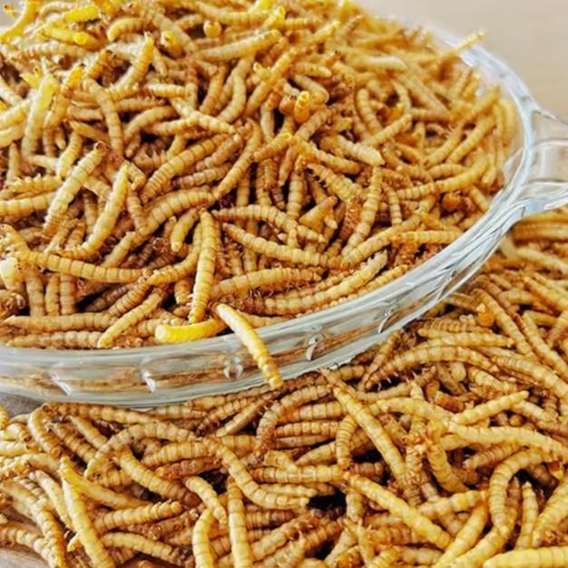 ulat hongkong hidup pakai Khusus sameday dan instan - 1 kg