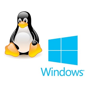 RDP Windows