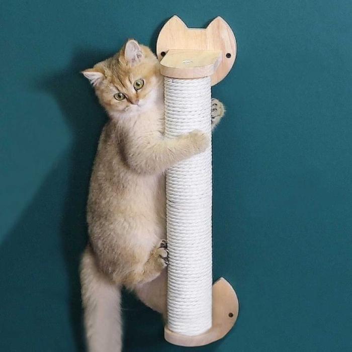 garukan kucing - 60cm