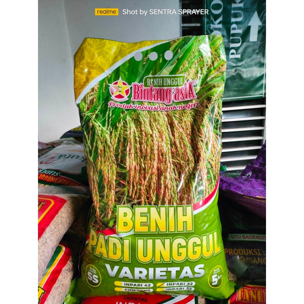 Benih Padi Inpari 32 Bintang Asia 5 kg Inpari 33 Bintang Asia