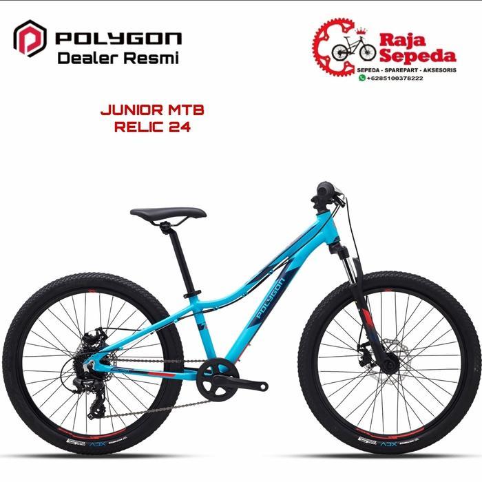 SEPEDA GUNUNG MTB POLYGON RELIC 24