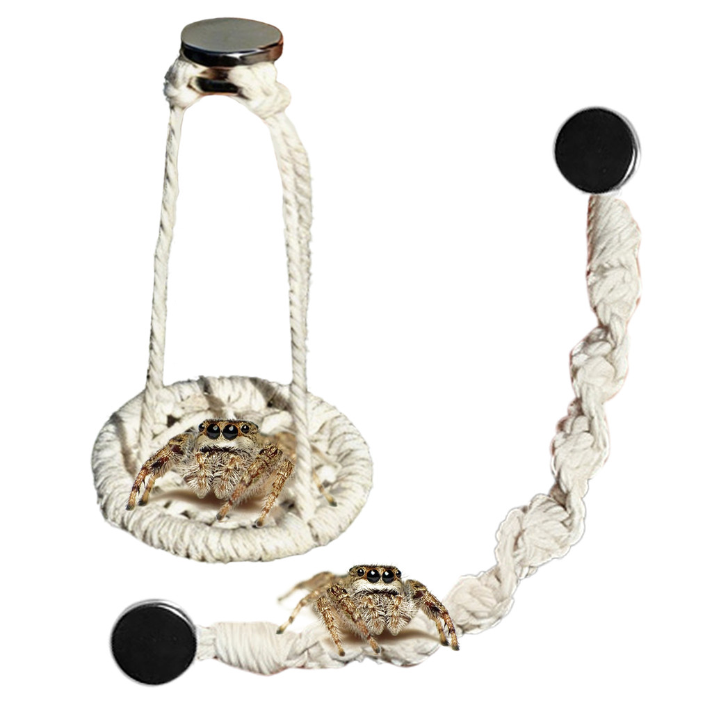 Jumping Spider Bridge 2 Pieces Cotton Rope Natural Hammocks Jumping Spider Accessories For Walking C