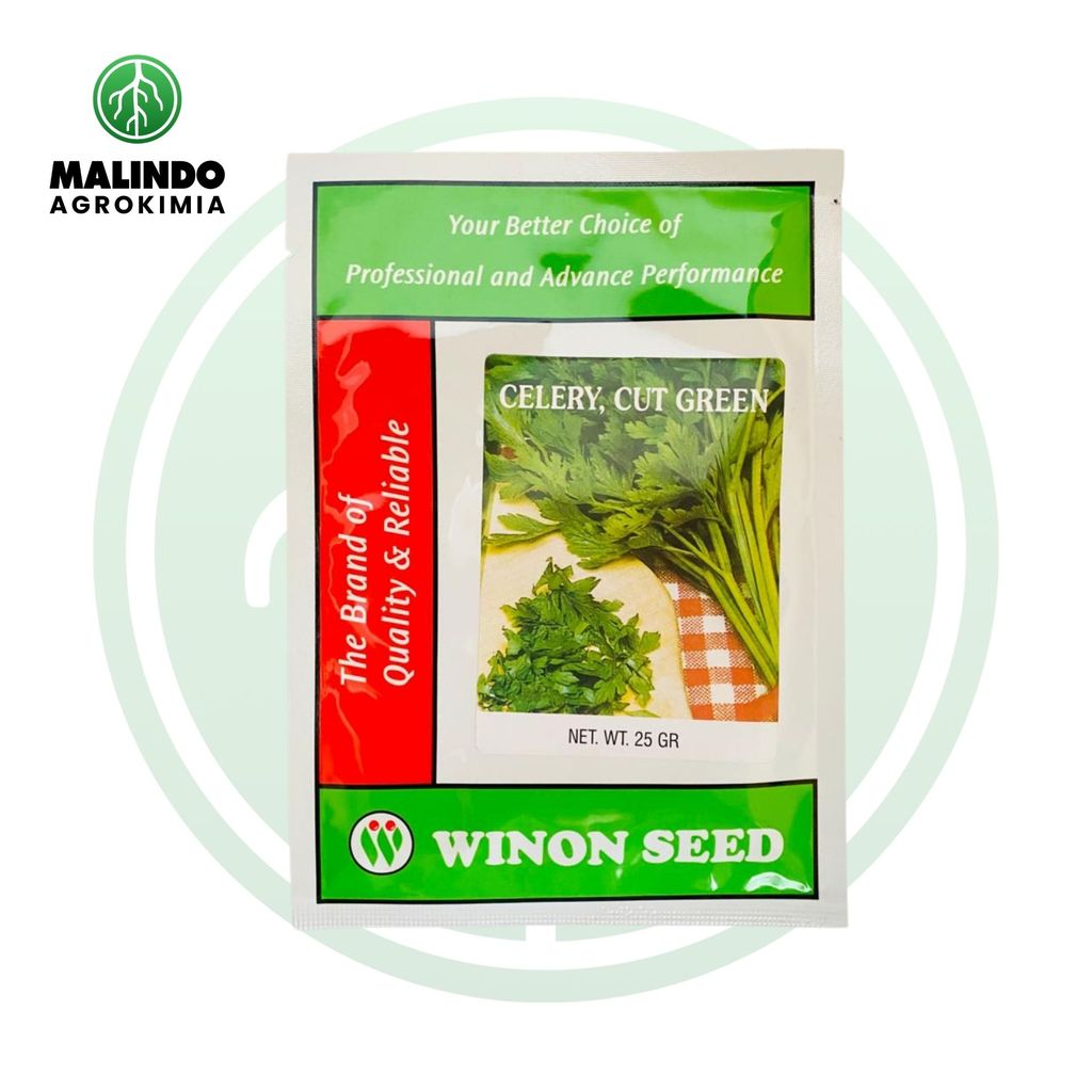 Benih Seledri Batang Tangkai Kokoh CELERY CUT GREEN 25gram dari WINON SEED