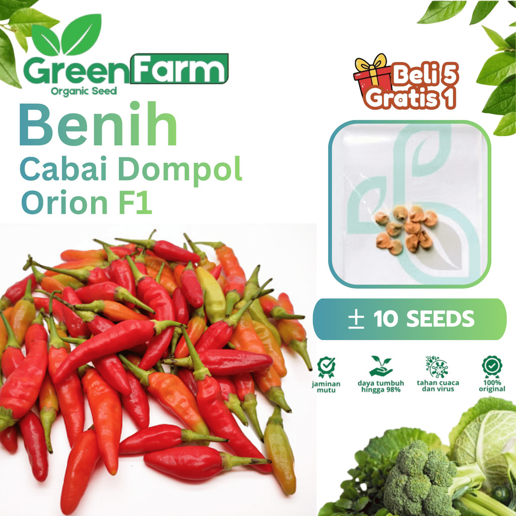 10 Biji - Benih Cabai Rawit ORION, Cabai Rawit Tipe Dompolan / Klaster - Bibit Cabe Unggul