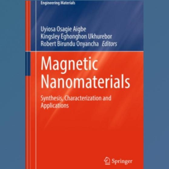 Buku Magnetic Nanomaterials