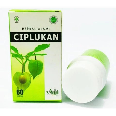 Kapsul Ciplukan Herbal Alami 60 Kapsul Inayah Herbal / Daun Ciplukan  (55)