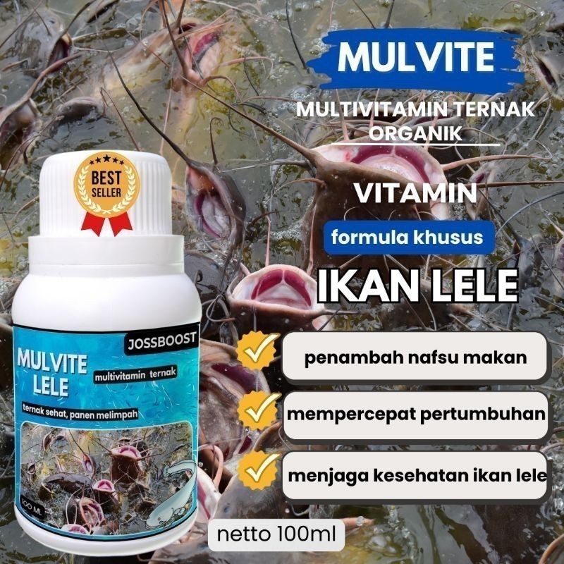 Germostore - Obat Ikan By Germo MULVITE IKAN LELE, VITAMIN Ikan lele agar cepat besar 100 ml probiot