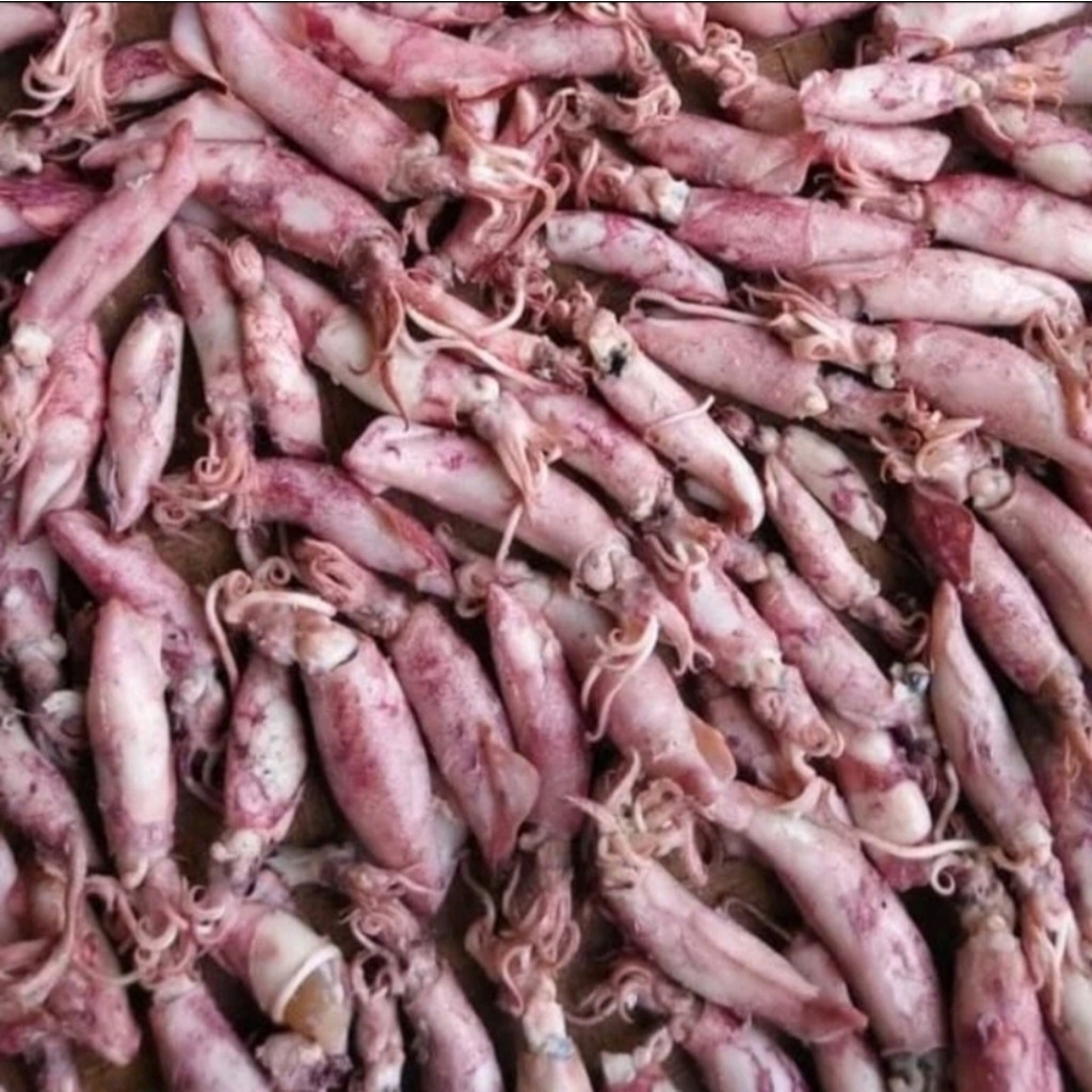 1KG Cumi Asin Kering Murah/ Cumi Sotong Kering