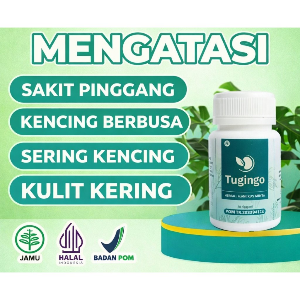 TUGINGO HERBAL Obat Batu Ginjal Herbal Penyakit Ginjal Kronis Gagal Ginjal / Ginjal Bocor  Infeksi G