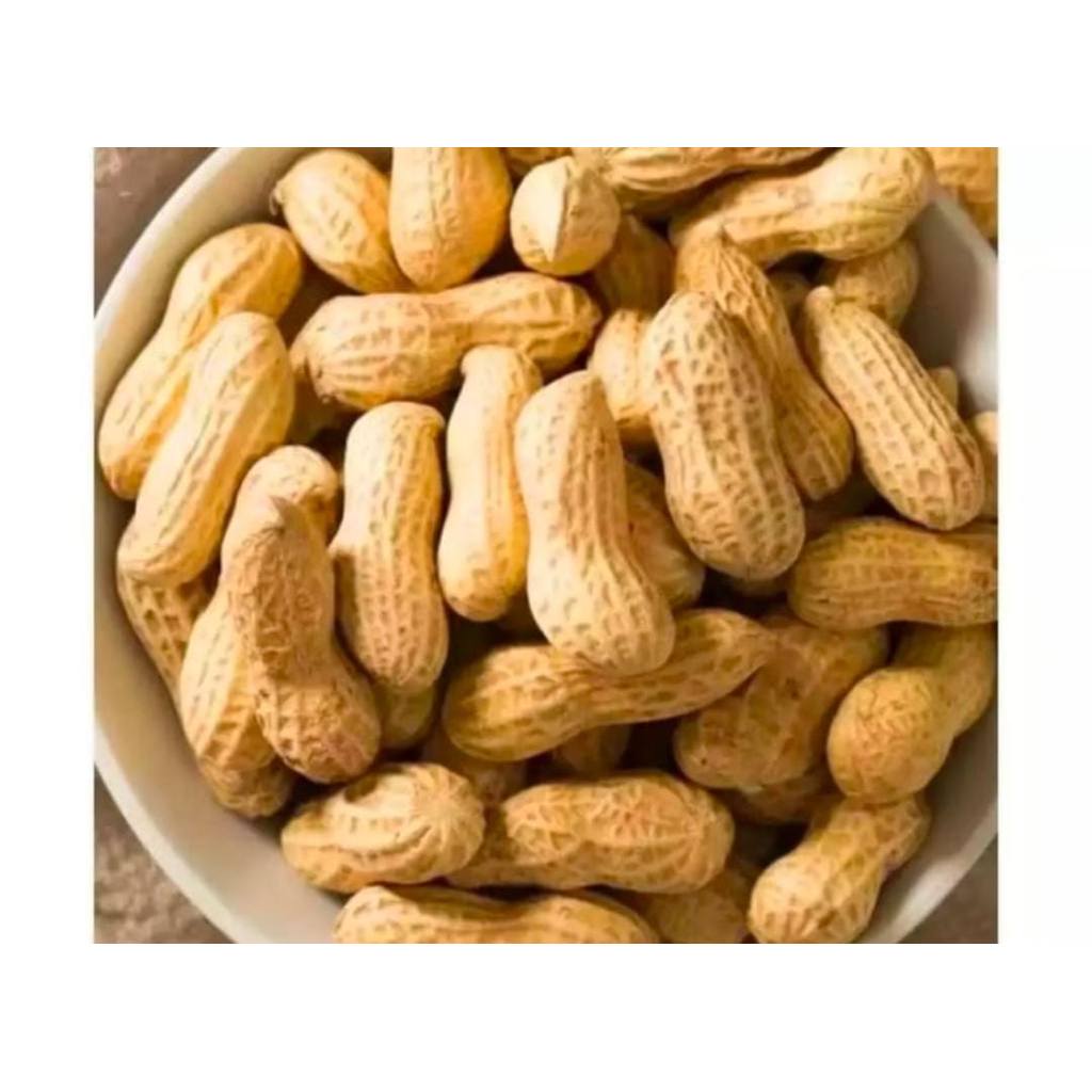 Kacang Kulit Sangrai Asin Super / Kacang Kulit Sangrai Pasir Kiloan