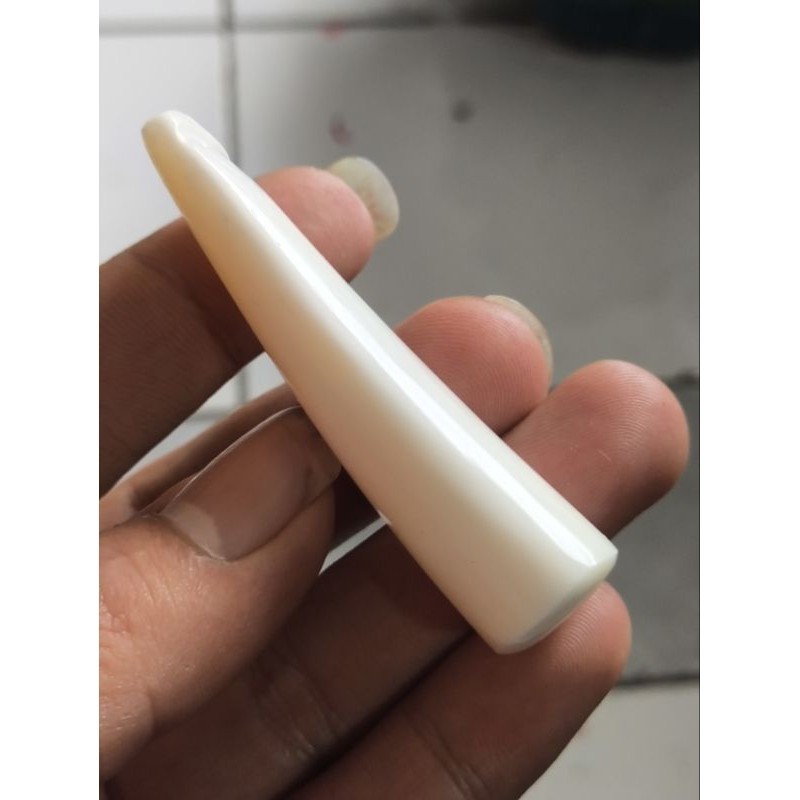 PIPA ONCE TULANG IKAN PUTIH MULUS MINIMALIS