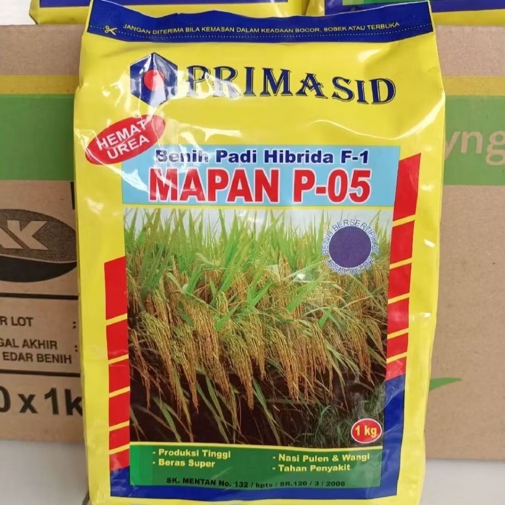 (Yang Asli Disini Bosss) BENIH PADI HIBRIDA F-1 MAPAN P-05 PRIMASID Bibit terunggul terbaik expired 