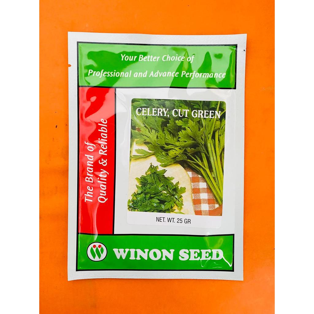 Benih seledri CELERY CUT GREEN isi 25gr dari WINON SEED cocok untuk semua dataran