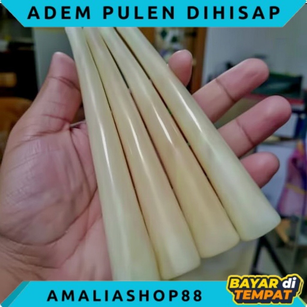 ONCE PIPA TULANG UNTA SUPER ADEM PULEN