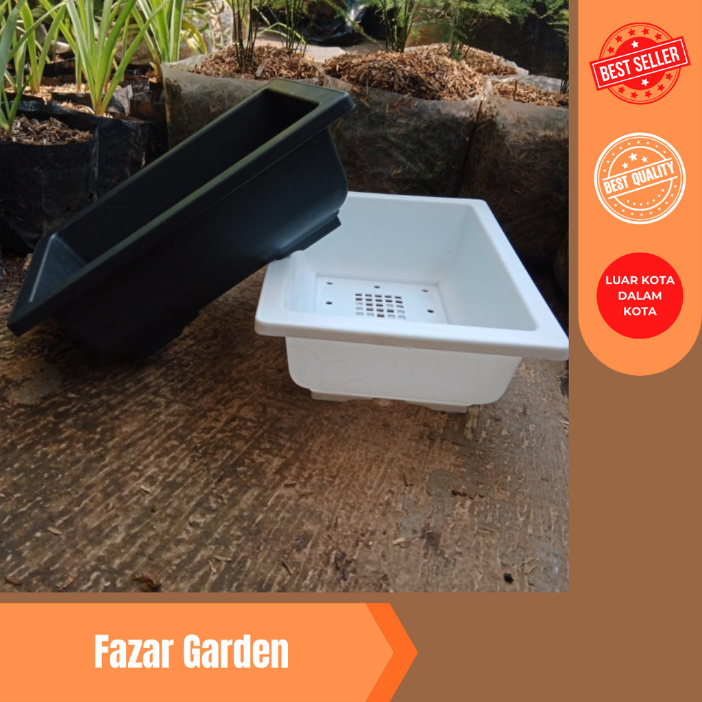 pot bonsai kotak plastik nkt 01, pot bonsai ceper murah bagus, tebel