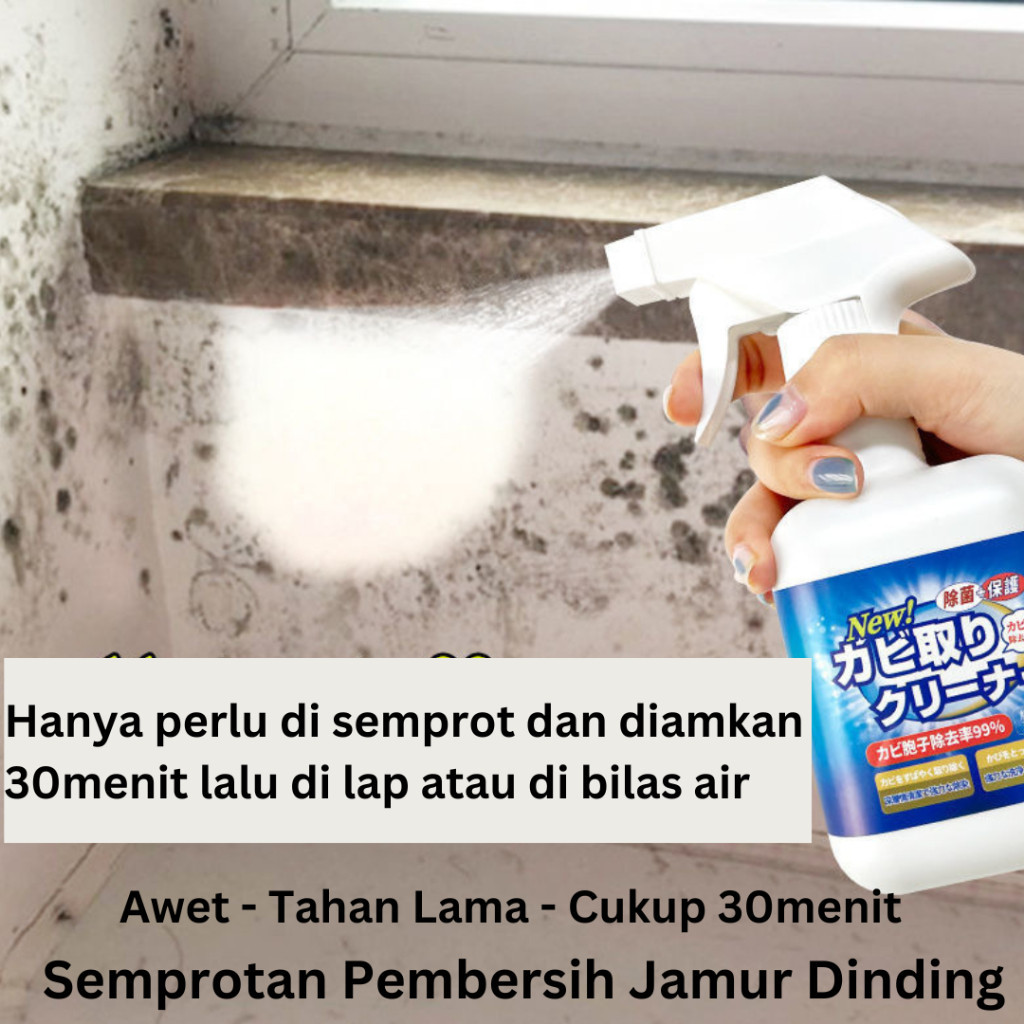 Semprotan Penghilang Jamur Dinding /  Alat Pembersih Jamur Dinding Rumah