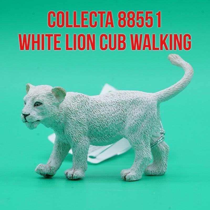 Collecta 88551 White Lion Cub Walking Anak Singa Putih Panthera Leo Krugeri | Mainan Figure Binatang