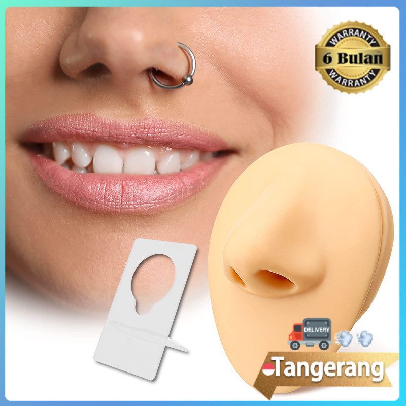 Alat Bantu Mengajar Model Telinga Manusia Palsu Bahan Silikon Model Telinga Alat Tindik Telinga