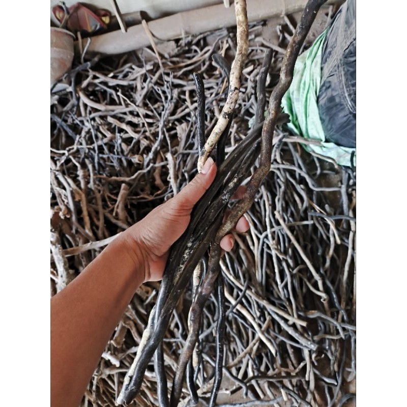 BAHAN GELANG PIPA SABUK AKAR BAHAR TALI ARUS PADAT