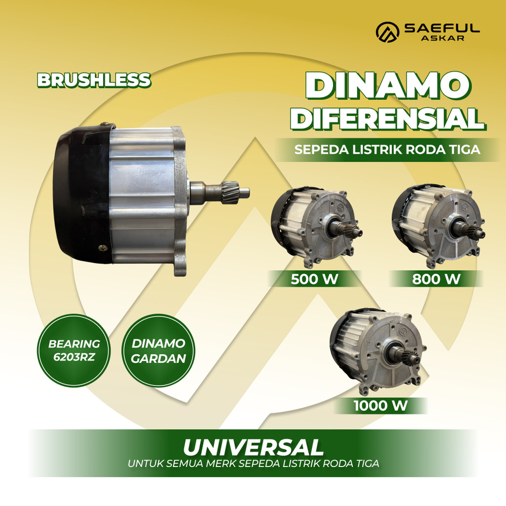 Dinamo BLDC Differential Gardan Sepeda Listrik Roda 3 500W 800W 1000W