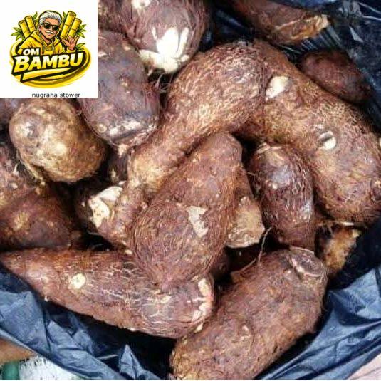 umbi talas/ mbote/entik segar,pulen 1kg