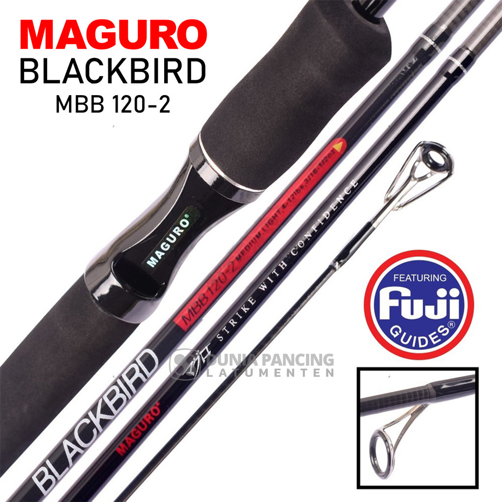 Joran Spinning MAGURO BLACKBIRD | Harian Ikan Mas | Mancing Kolam | Cincin Fuji | Alat Pancing | DPL