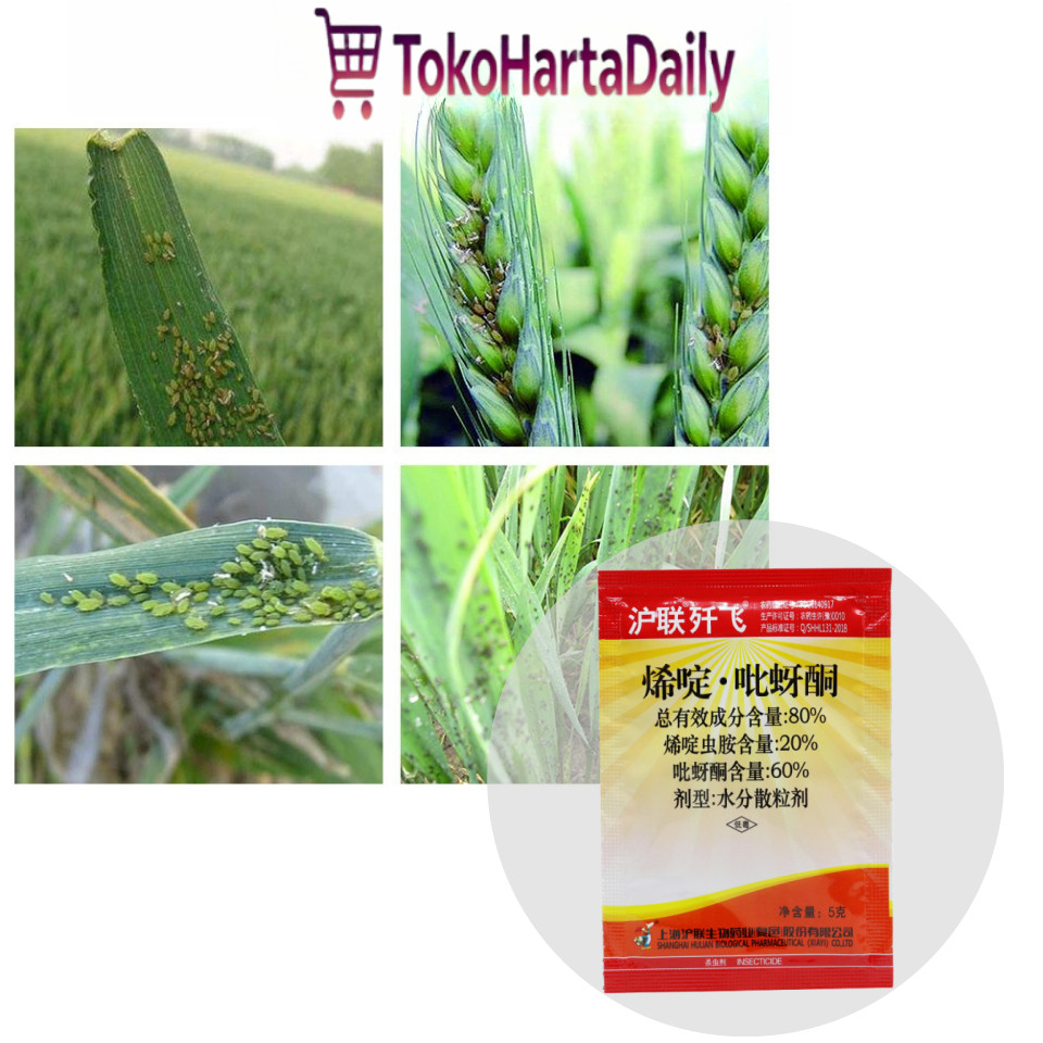 Insektisida Wereng Kutu Daun 5gr 80% Acetamiprid Pimetrozin Import Untuk Tanaman Padi