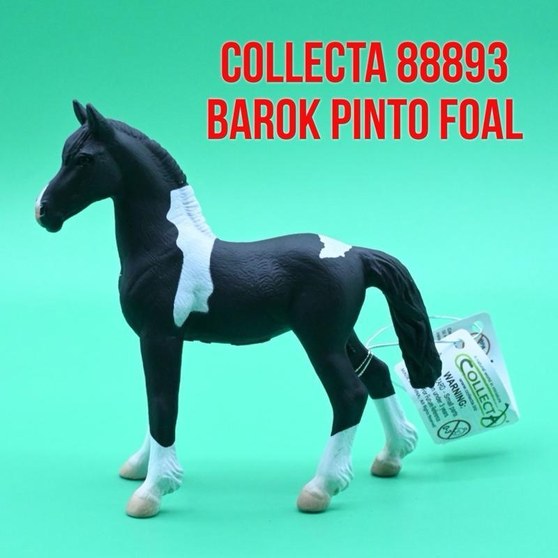 CollectA 88893 Barok Pinto Foal Horse Anak Kuda Equus Caballus | Mainan Binatang Miniature Hewan Ani