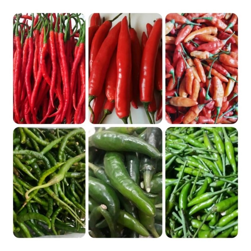 Cabe Merah / Rawit Merah / Cabe TW Merah / Cabe Ijo / Rawit Ijo / Cabe TW Ijo 100gr