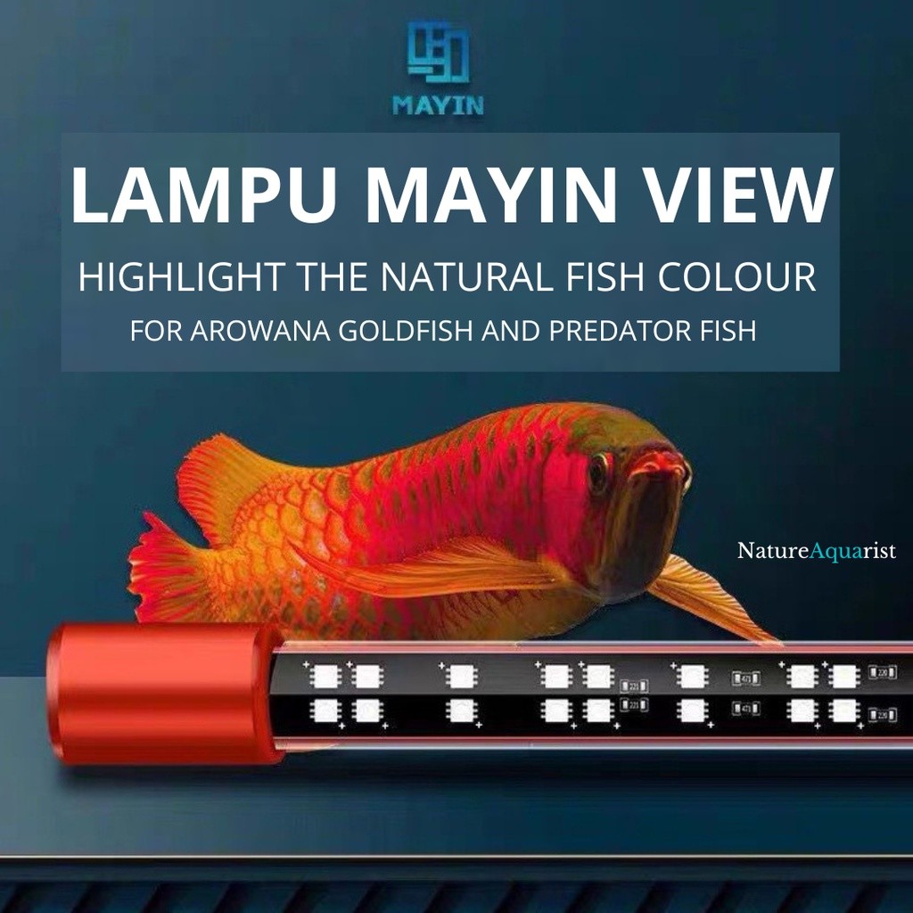 Lampu Mayin View Led Aquarium Ikan Arowana Arwana Goldfish Predator Koi Louhan Channa