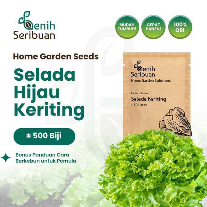 Benih Selada Hijau - Benih Sayuran Seribuan - PREM SELADA HIJAU