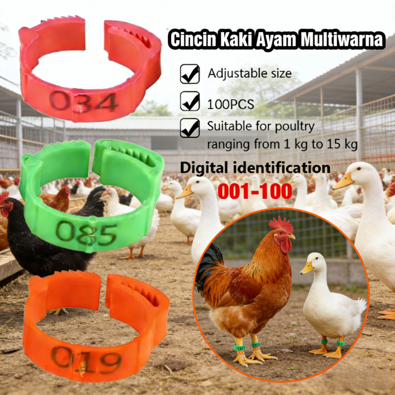 100pcs Cincin Kaki Unggas Plastik Bernomor Warna Custom untuk Bebek Ayam Angsa Puyuh Kenari Ring Pet