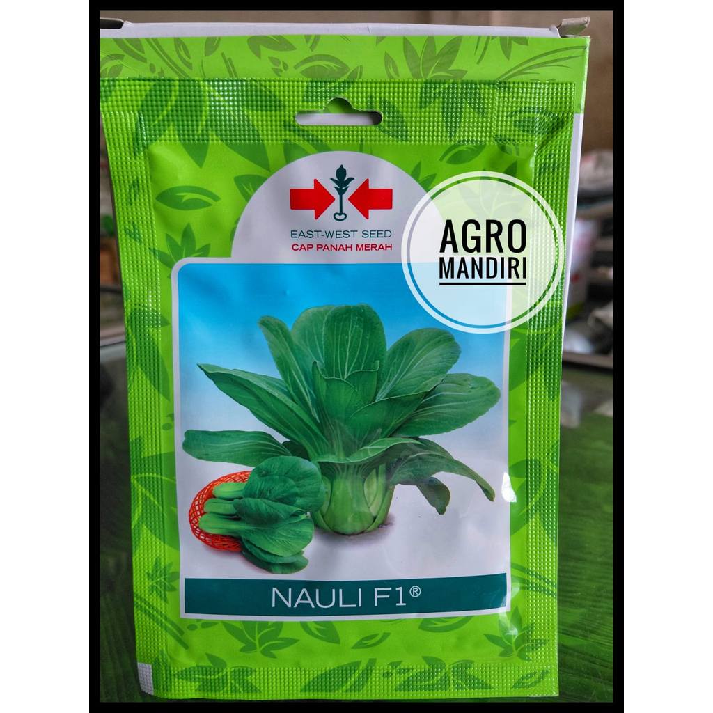 Bibit Sawi Daging Nauli F1 isi 1500 Butir Benih Cap Panah Merah Bibit Pakcoy Daging Sendok Unggulan 