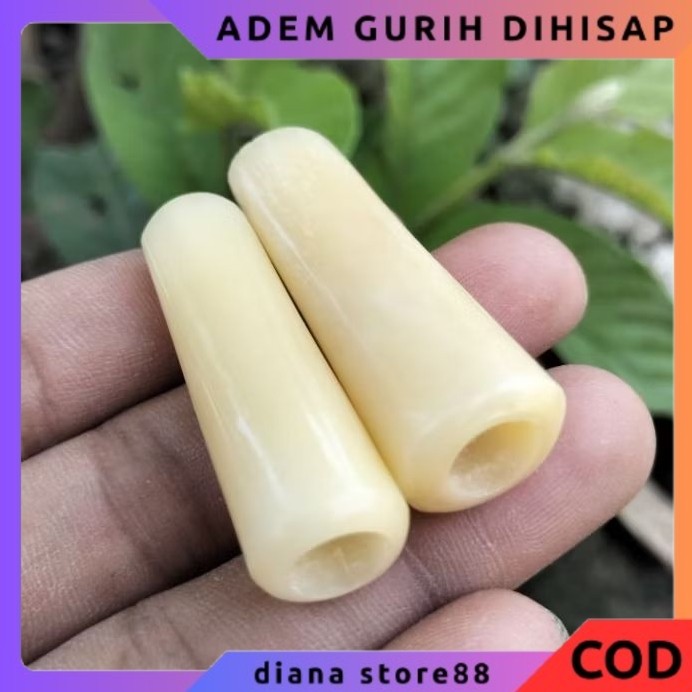 PIPA TULANG UNTA  IMPORT MINI PULEN ADEM