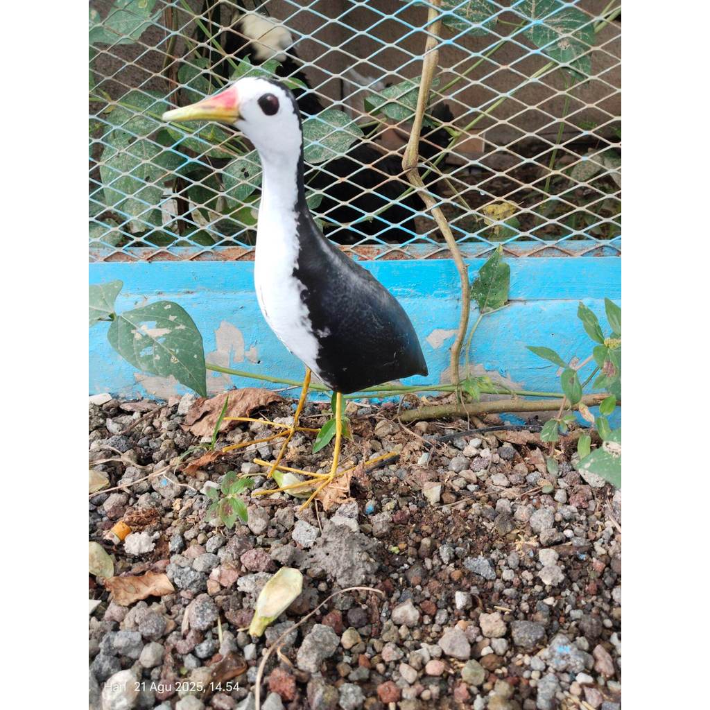 Jontrot Pemikat Burung Ruak-Ruak / Patung Kareo padi