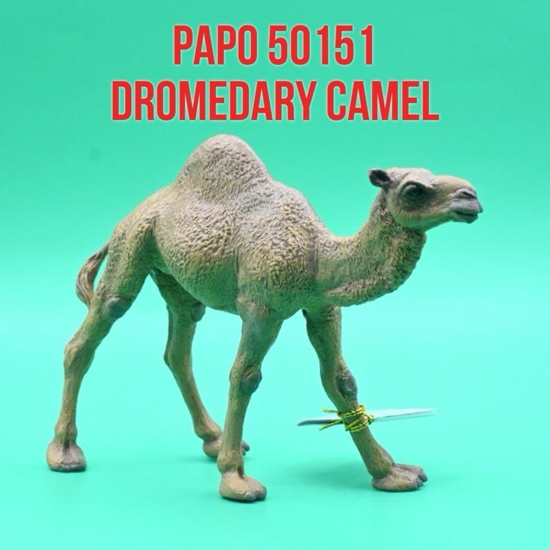 PAPO 50151 | Dromedary Camel Unta Punuk Satu Camelus Dromedarius | Mainan Figure Binatang Miniature 