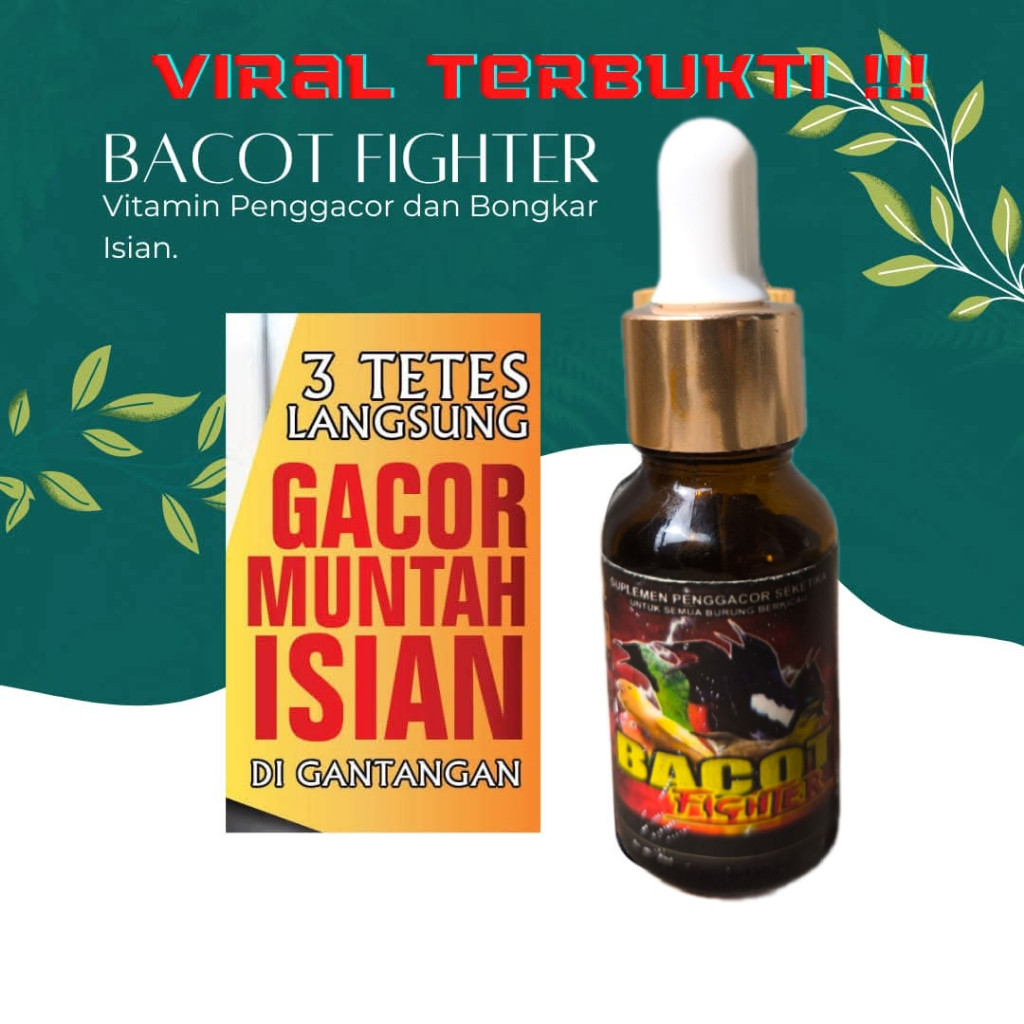Bacot Fighter Formula Juara – Bacot Padat & Panjang
