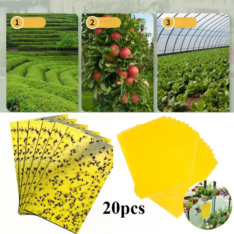 20pcs Perangkap Lalat Buah(Yellow Trap Likat Kuning)Yellow Trap Perangkap Lem Lalat Buah Kertas Hama