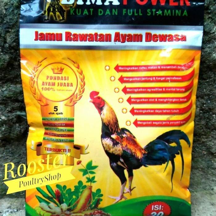 JAMU BIMA POWER Jamu Ayam Jago Jamu Ayam Bangkok